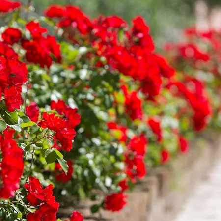 Cà Masawalsa 3* Bardolino