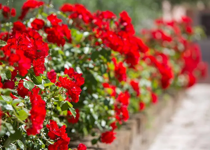 Ca Masawalsa 3* ברדולינו